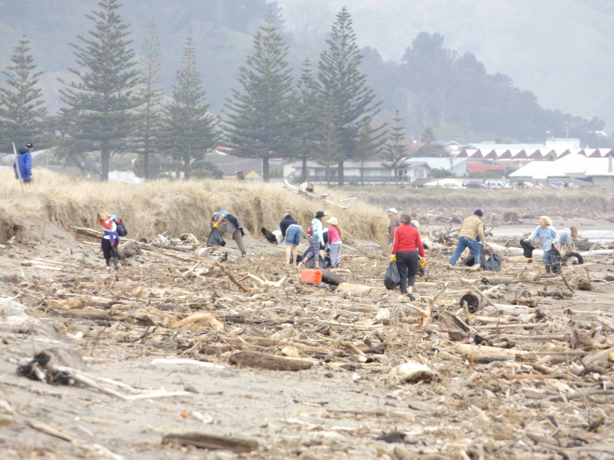 gisbornebeachcleanup Tairawhiti Environment Centre